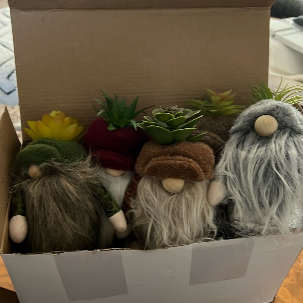 Box of a dozen garden gnomes with faux succulents